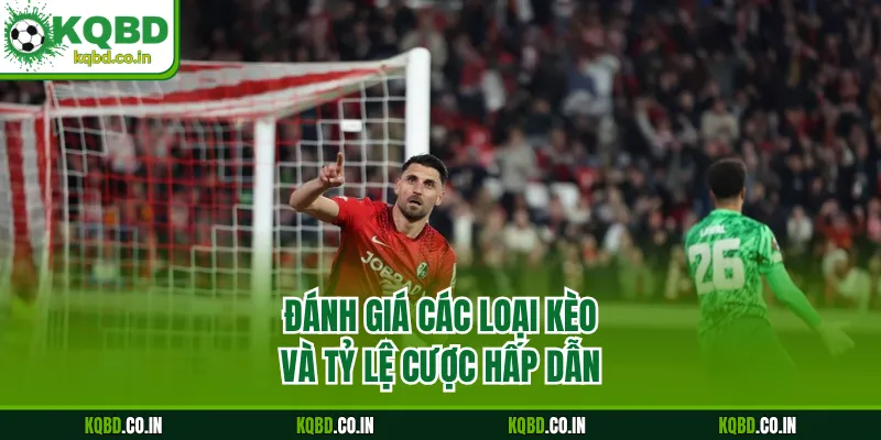 Đánh giá các loại kèo và tỷ lệ cược hấp dẫn của Mainz 05 - Freiburg