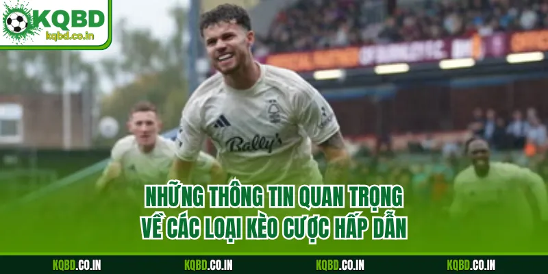 Những thông tin quan trọng về các loại kèo cược hấp dẫn