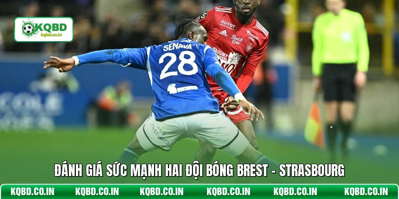 Đánh giá sức mạnh hai đội bóng Brest - Strasbourg