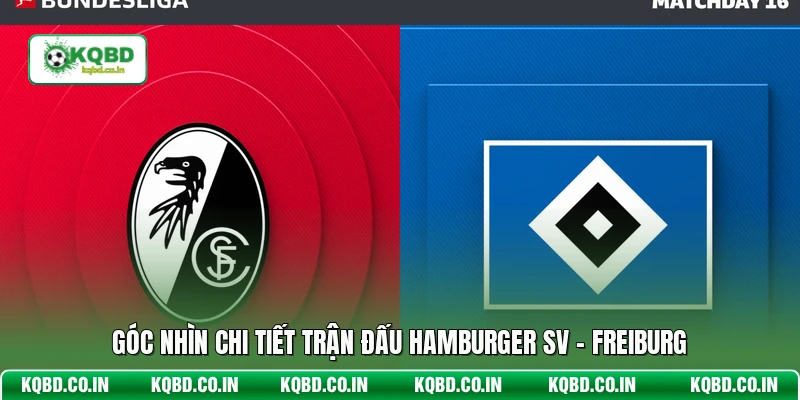 Góc nhìn chi tiết trận đấu Hamburger SV - Freiburg