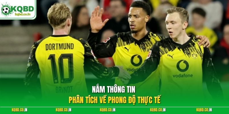 Nắm thông tin phân tích về phong độ thực tế